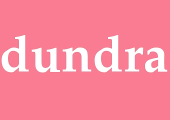 Synonym dundra