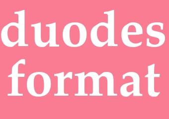 Synonym duodesformat