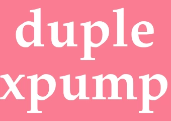 Synonym duplexpump