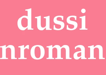 Synonym dussinroman