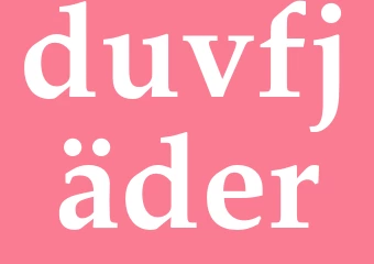 Synonym duvfjäder