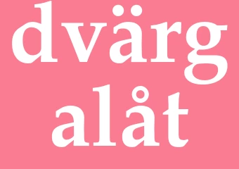 Synonym dvärgalåt