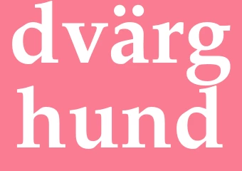Synonym dvärghund
