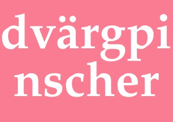 Synonym dvärgpinscher