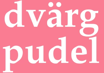 Synonym dvärgpudel