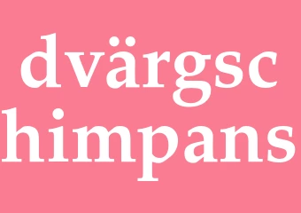 Synonym dvärgschimpans