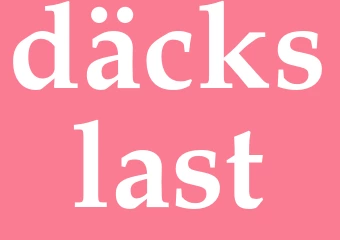 Synonym däckslast