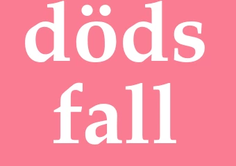 Synonym dödsfall