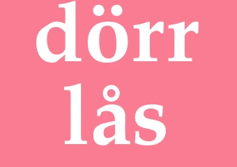 Synonym dörrlås