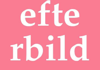 Synonym efterbild
