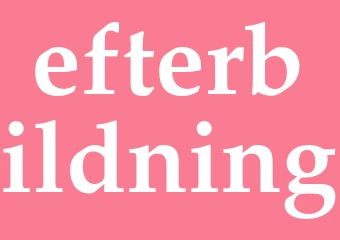 Synonym efterbildning