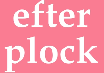 Synonym efterplock