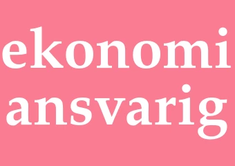 Synonym ekonomiansvarig