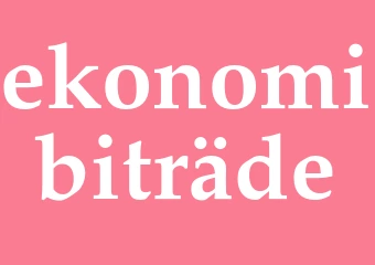 Synonym ekonomibiträde