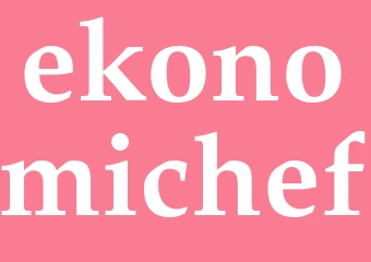 Synonym ekonomichef