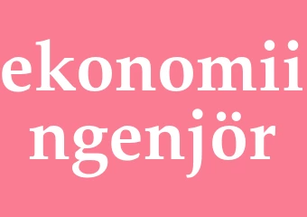 Synonym ekonomiingenjör
