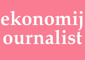 Synonym ekonomijournalist