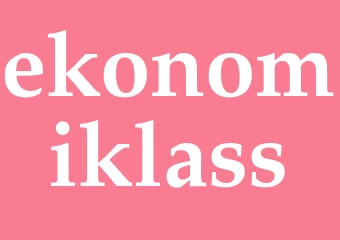 Synonym ekonomiklass