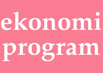 Synonym ekonomiprogram