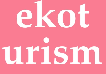 Synonym ekoturism