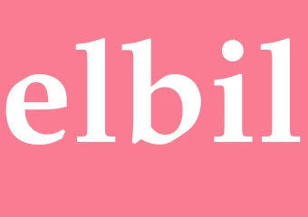 Synonym elbil