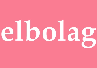 Synonym elbolag