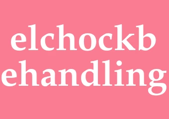 Synonym elchockbehandling