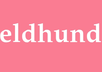 Synonym eldhund