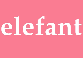 Synonym elefant