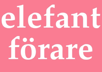 Synonym elefantförare