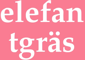 Synonym elefantgräs