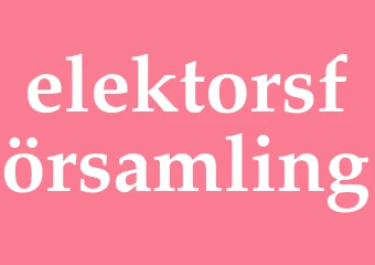 Synonym elektorsförsamling