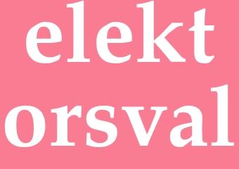 Synonym elektorsval
