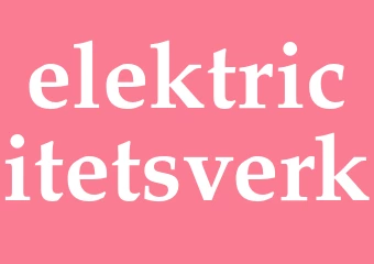 Synonym elektricitetsverk