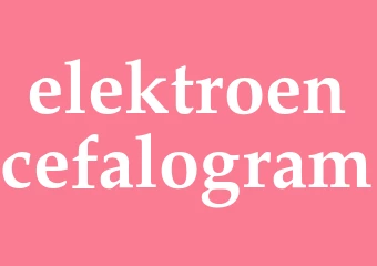 Synonym elektroencefalogram