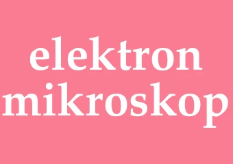 Synonym elektronmikroskop