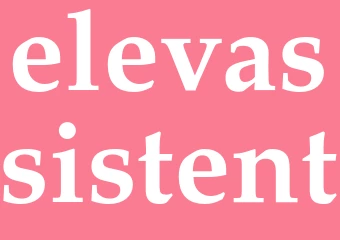 Synonym elevassistent