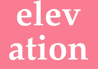 Synonym elevation