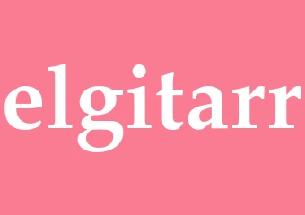 Synonym elgitarr