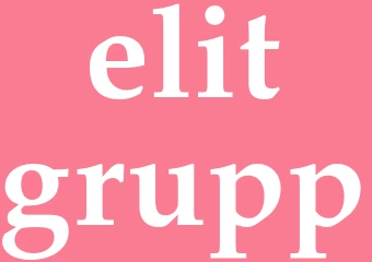 Synonym elitgrupp