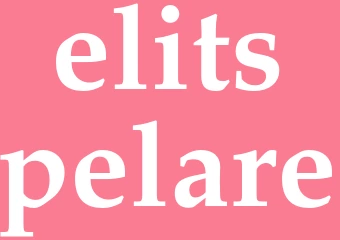 Synonym elitspelare