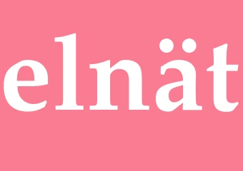 Synonym elnät