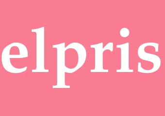 Synonym elpris