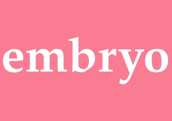 Synonym embryo