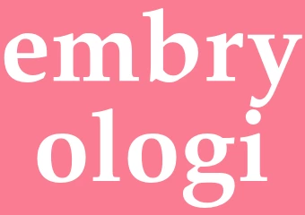 Synonym embryologi