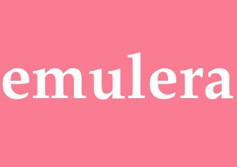 Synonym emulera