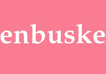 Synonym enbuske