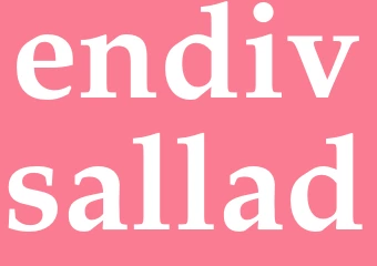 Synonym endivsallad