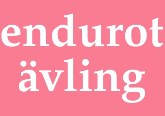Synonym endurotävling