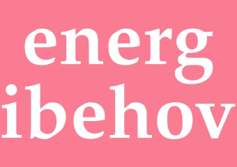 Synonym energibehov